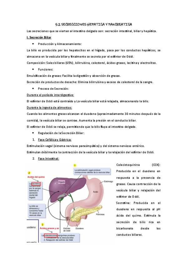 Miniatura del documento 5.-Fisiologia.pdf