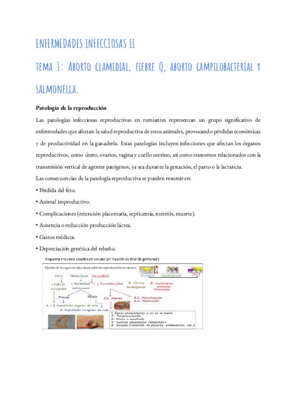 Miniatura del documento Apuntes-infecc-ii.pdf