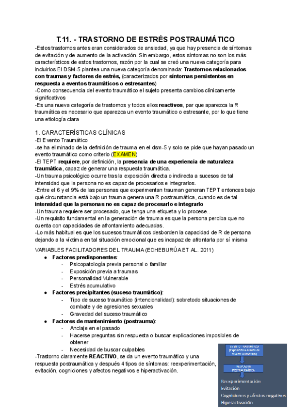 Miniatura del documento T.11.pdf