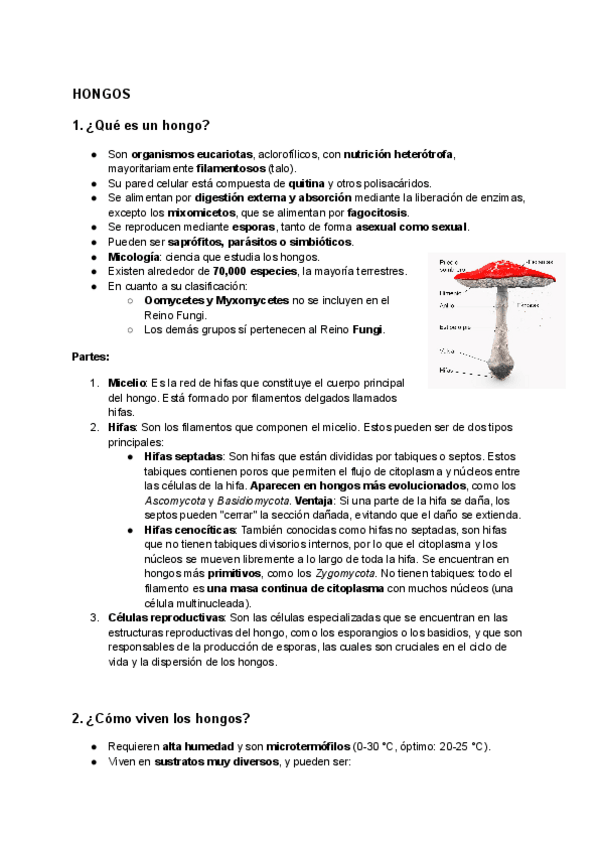Miniatura del documento Tema-6-hongos-liquenes-y-briofitos.pdf