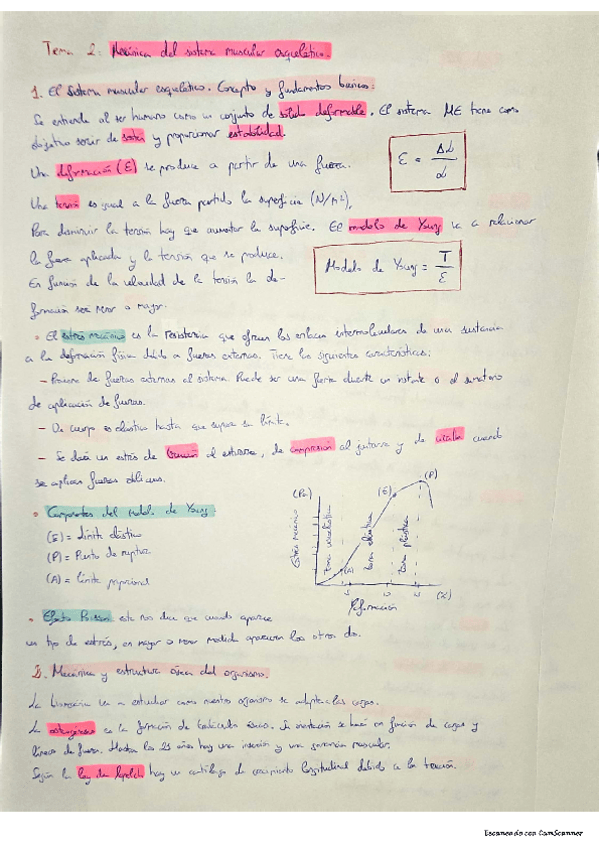 Miniatura del documento tema-2-biomecanica.pdf