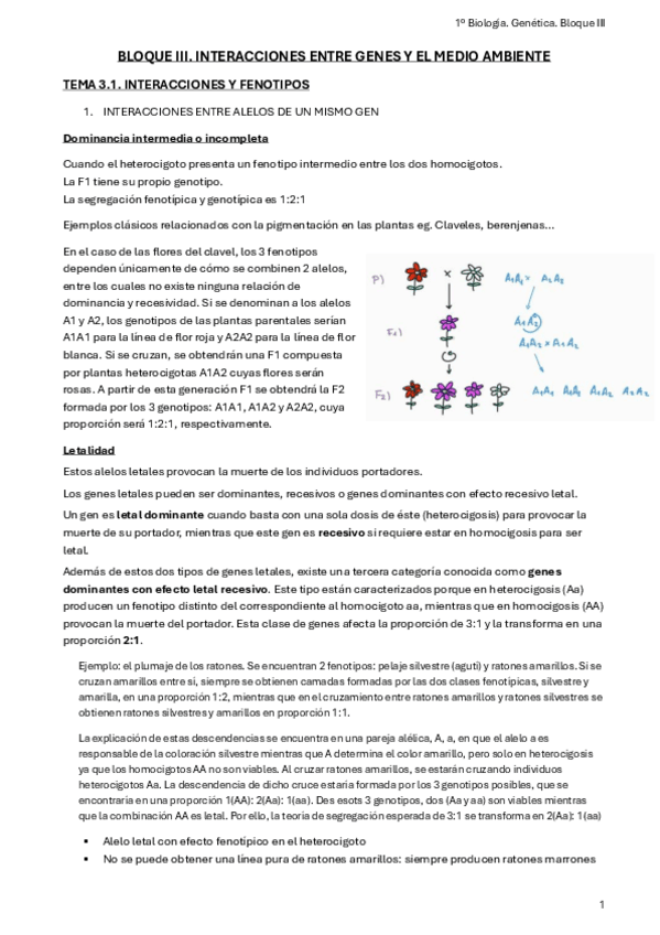 Miniatura del documento Bloque-III.-Interacciones-entre-genes-y-medio-ambiente.pdf