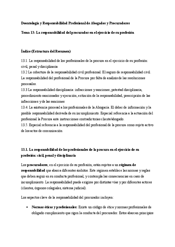 Miniatura del documento T13.-La-responsabilidad-del-procurador-en-el-ejercicio-de-su-profesion.pdf