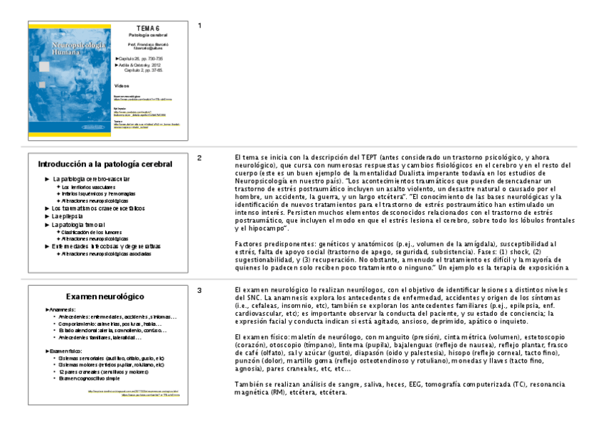 Miniatura del documento np6-Patologia2025.notas.pdf