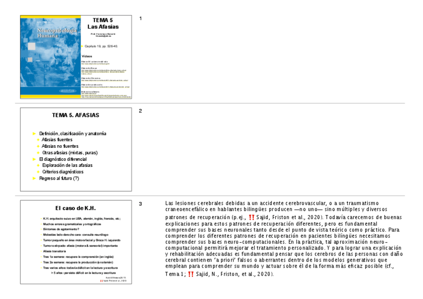 Miniatura del documento np5-Afasias2025notas.02.04.2025.pdf