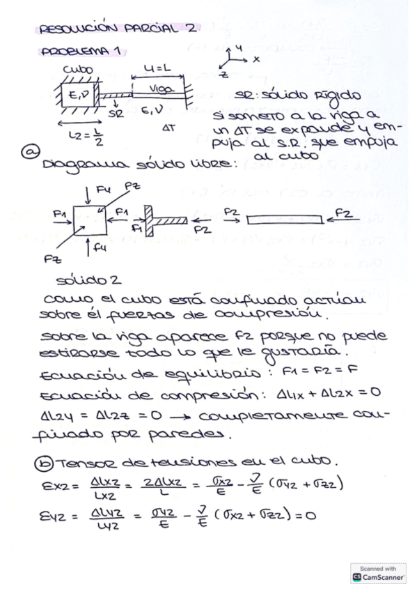 Miniatura del documento Resolucion-Parcial-2-diciembre-2024.pdf