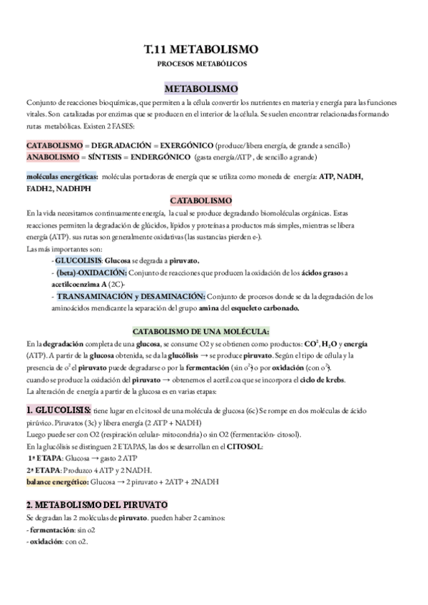 Miniatura del documento METABOLISMO-1.pdf