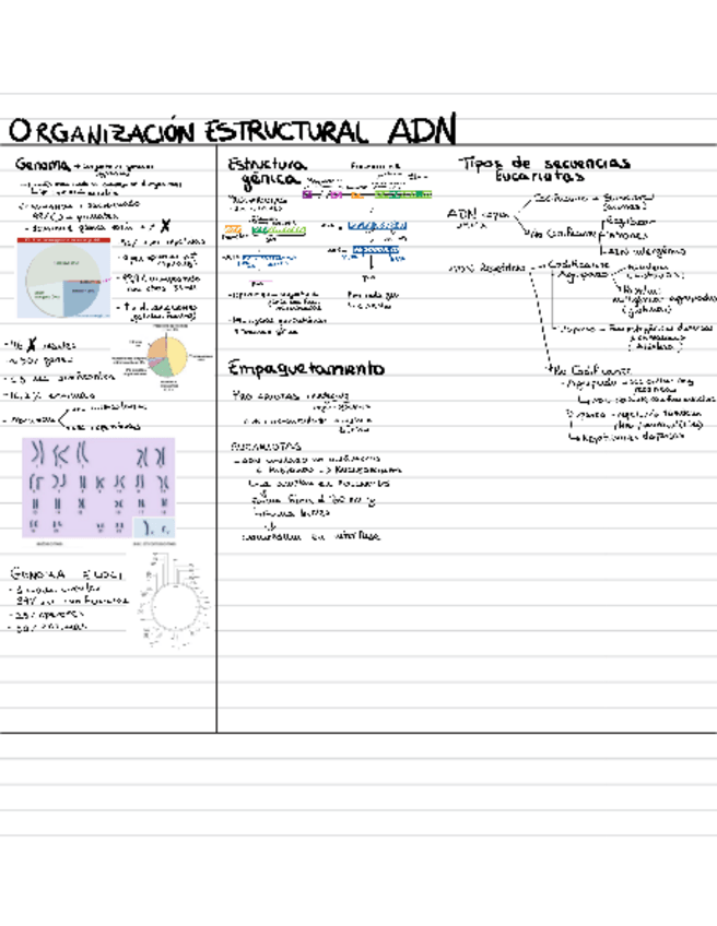 Miniatura del documento IngenieriaGeneticaBBM.pdf