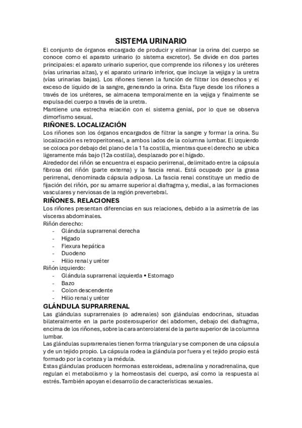 Miniatura del documento SISTEMA-URINARIO.pdf