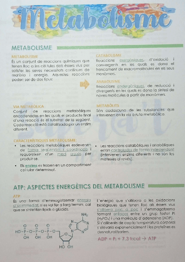 Miniatura del documento METABOLISME + apunts extres.pdf