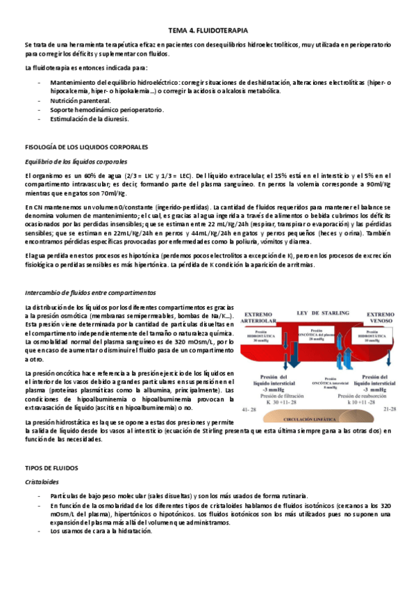 Miniatura del documento TEMA-4.pdf
