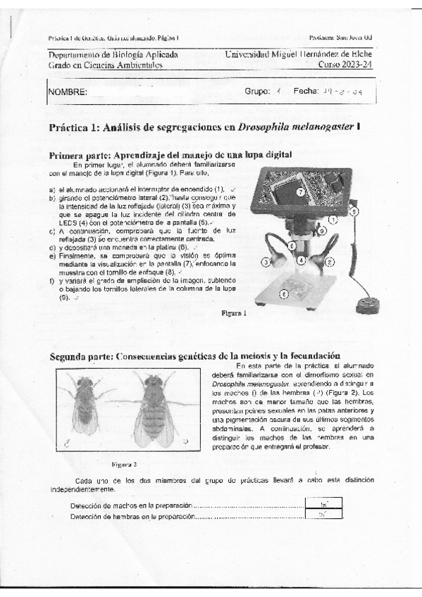 Miniatura del documento practica1genetica.pdf