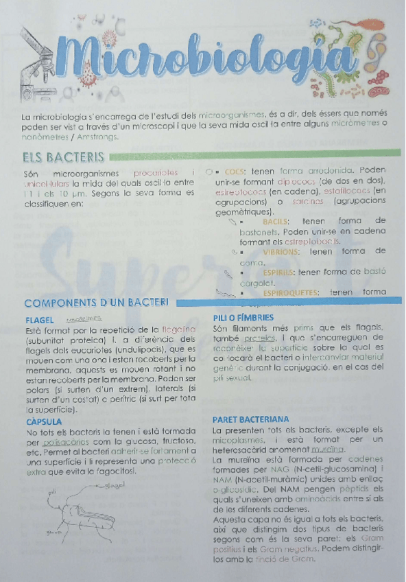 Miniatura del documento MICROBIOLOGIA + apunts extres.pdf