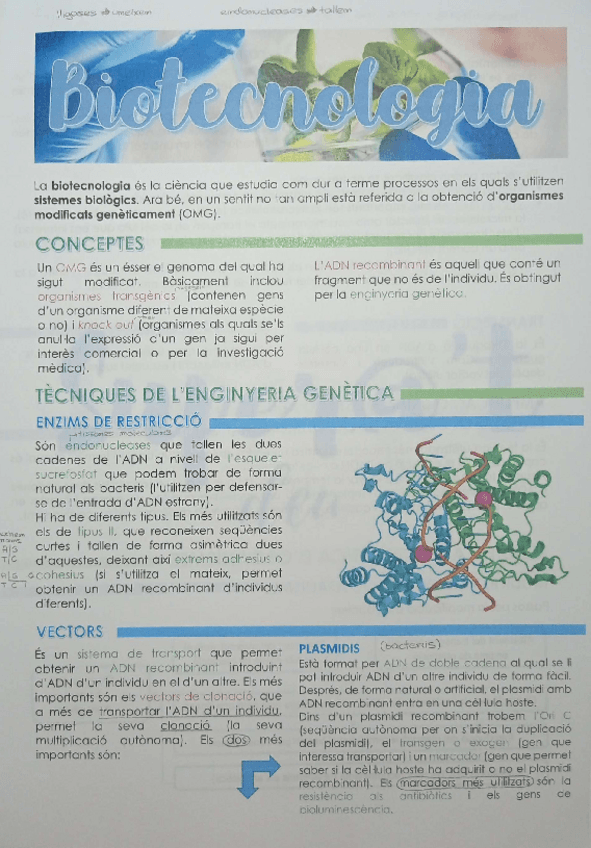 Miniatura del documento BIOTECNOLOGIA + apunts extres.pdf
