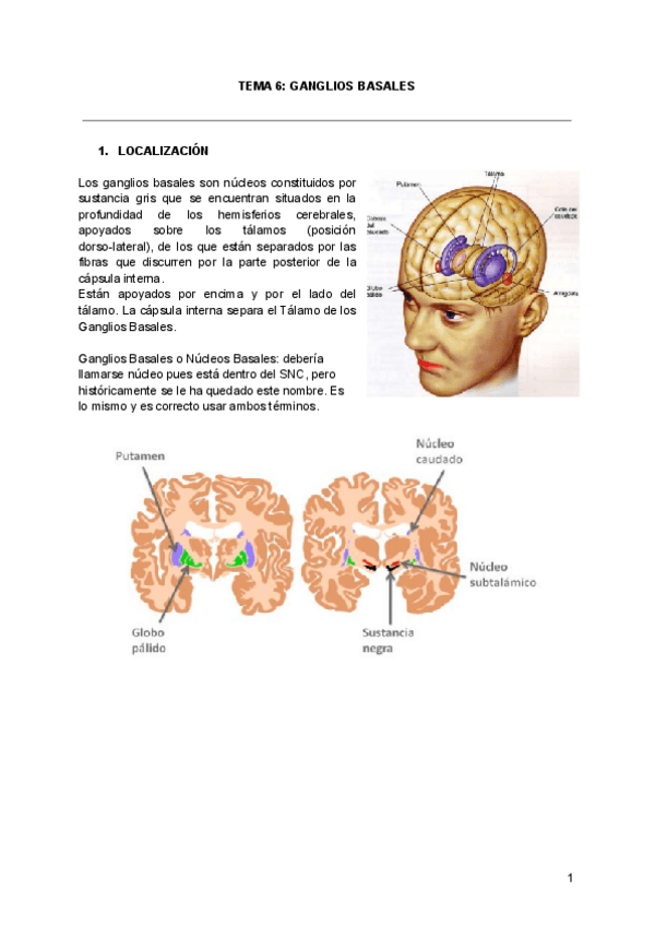 Miniatura del documento TEMA-6-GANGLIOS-BASALES.pdf