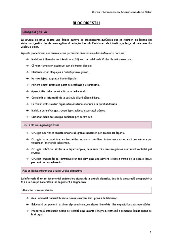 Miniatura del documento BLOC-DIGESTIU.pdf
