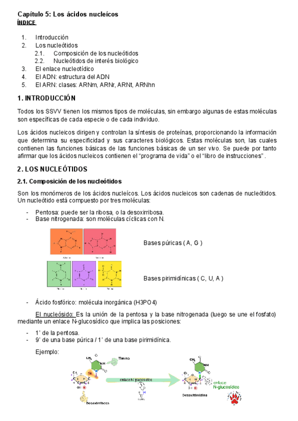 Miniatura del documento Capitulo-5-Los-acidos-nucleicos.pdf