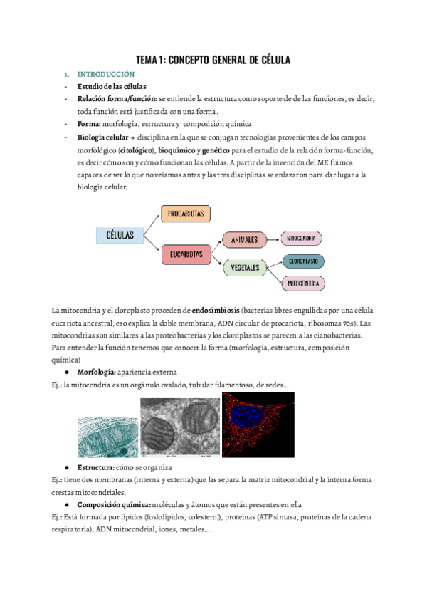 Miniatura del documento TEMA-1-BIO.pdf