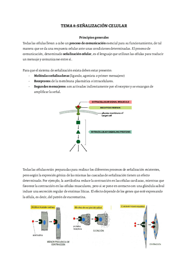Miniatura del documento TEMA-8-BIO.pdf