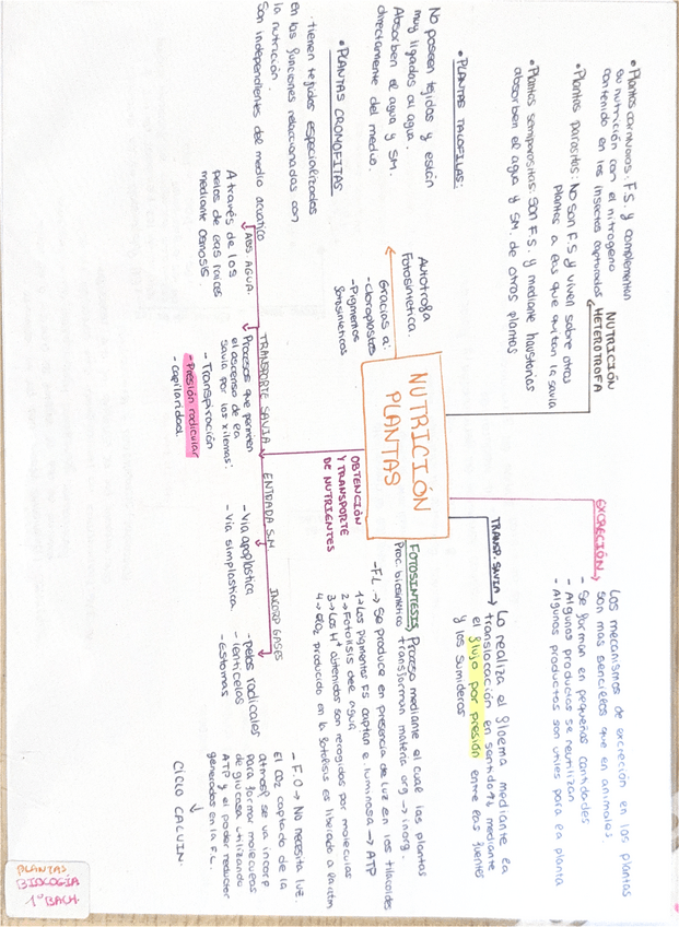 Miniatura del documento Nutricion-plantas.pdf