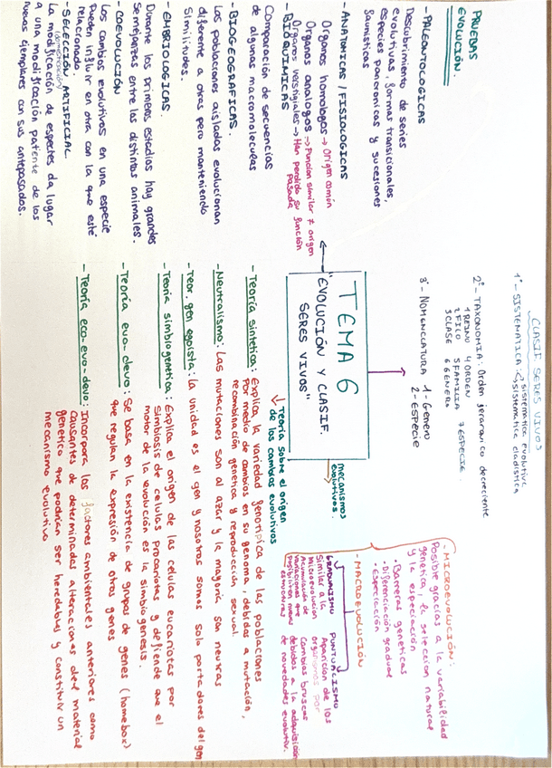 Miniatura del documento Evolucion-y-clasificacion-seres-vivos.pdf
