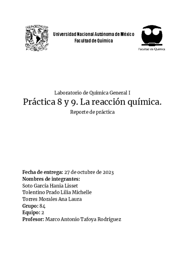 Miniatura del documento Reporte-p8.-La-reaccion-quimica.pdf