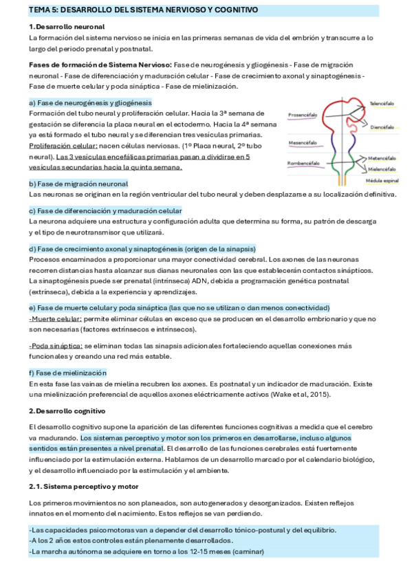 Miniatura del documento Tema-5-Psicobiologia.pdf