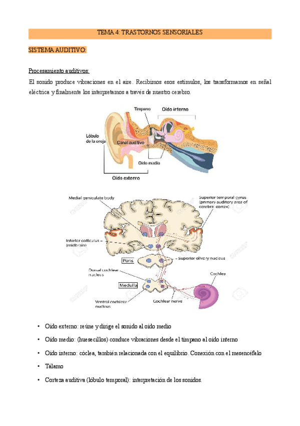 Miniatura del documento Tema-4-Necesidades.pdf