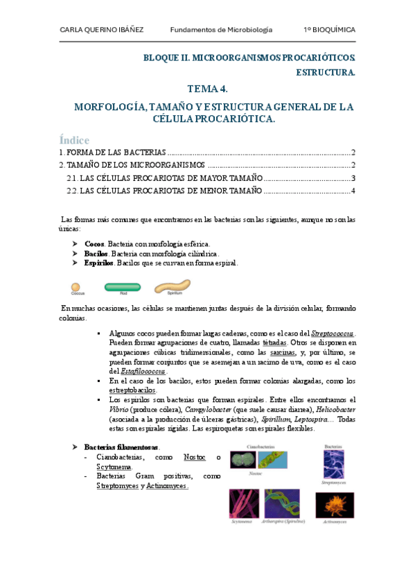 Miniatura del documento Tema4.pdf