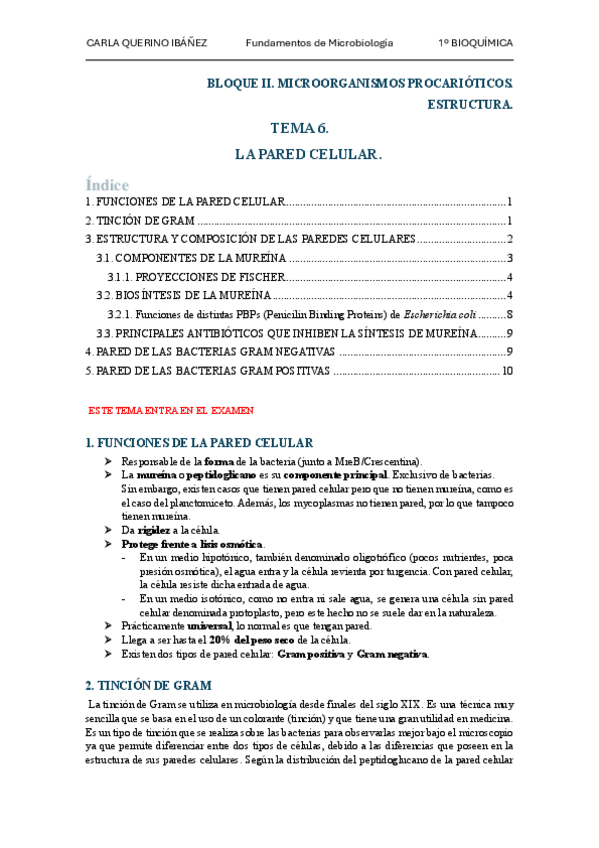 Miniatura del documento Tema6.pdf