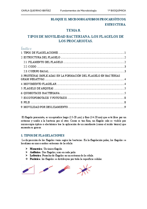 Miniatura del documento Tema8.pdf