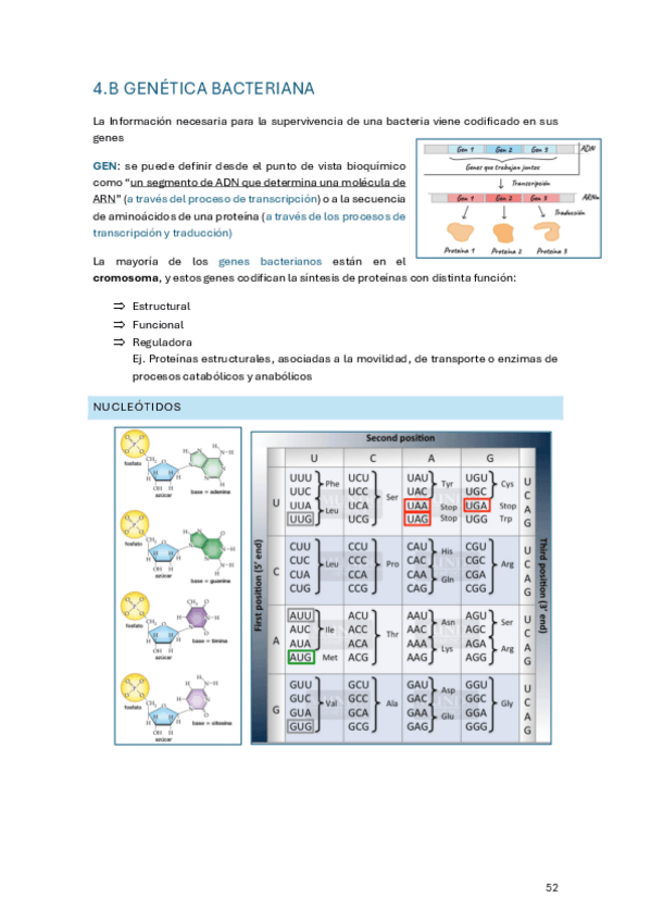 Miniatura del documento tema-4-segunda-parte.pdf