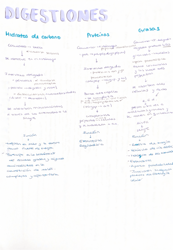 Miniatura del documento Apuntes-resumidos.pdf