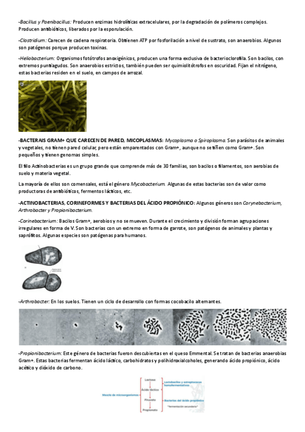 Miniatura del documento tema-4-microbiologia-la-mitad.pdf