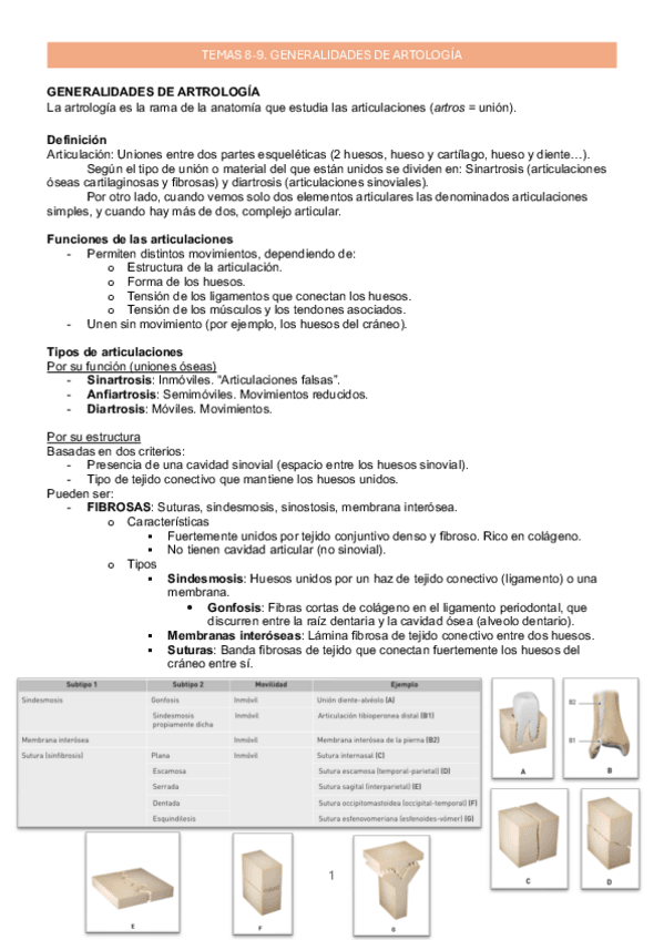 Miniatura del documento 8-9_Generalidades artrología_Anatomía_ApuntesMarta.pdf.pdf
