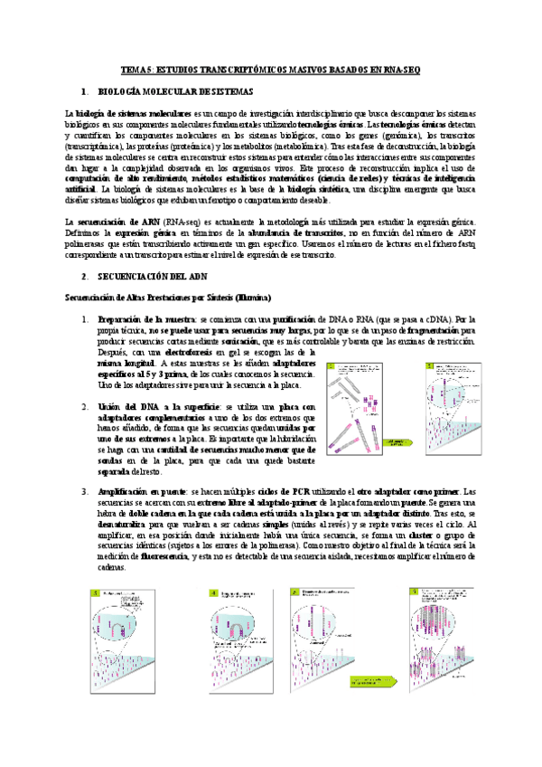 Miniatura del documento TEMA-5-ESTUDIOS-TRANSCRIPTOMICOS-MASIVOS-BASADOS-EN-RNA-SEQ.pdf