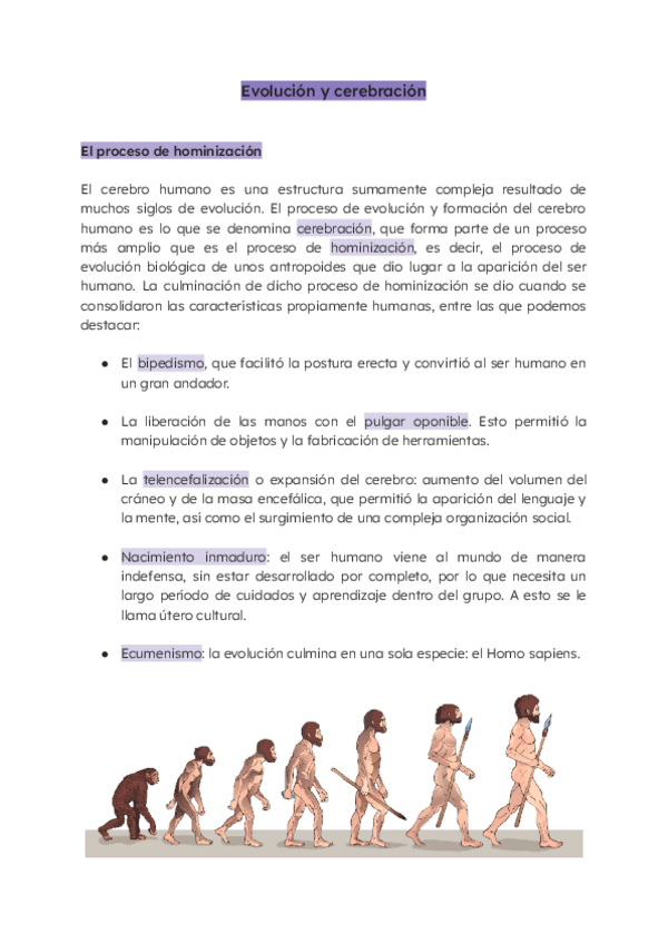 Miniatura del documento La evolución y la cerebración.pdf