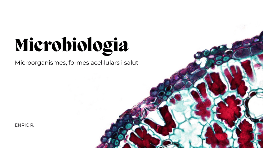 Miniatura del documento Tema-2-Microbiologia.pdf