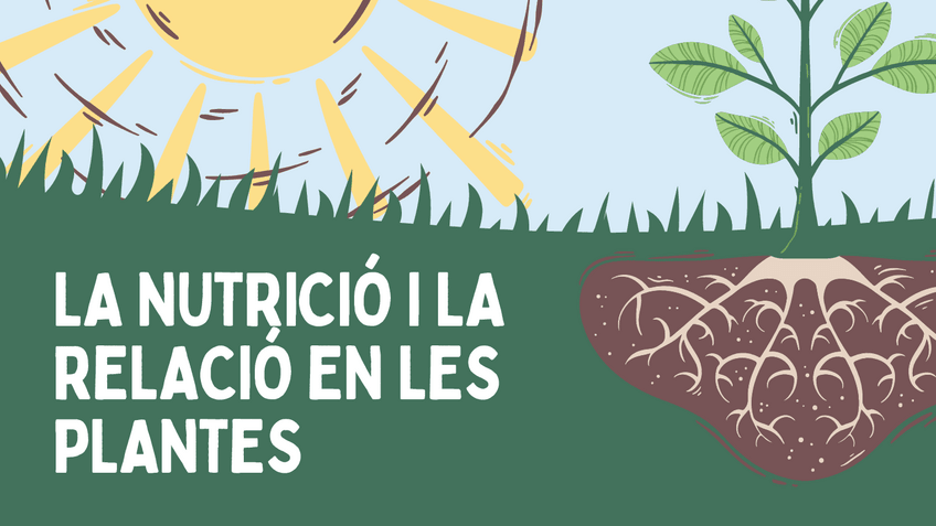 Miniatura del documento Nutricio-i-relacio-en-les-plantes.pdf