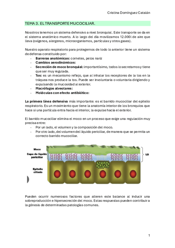 Miniatura del documento Tema-3.-Respiratorio.pdf
