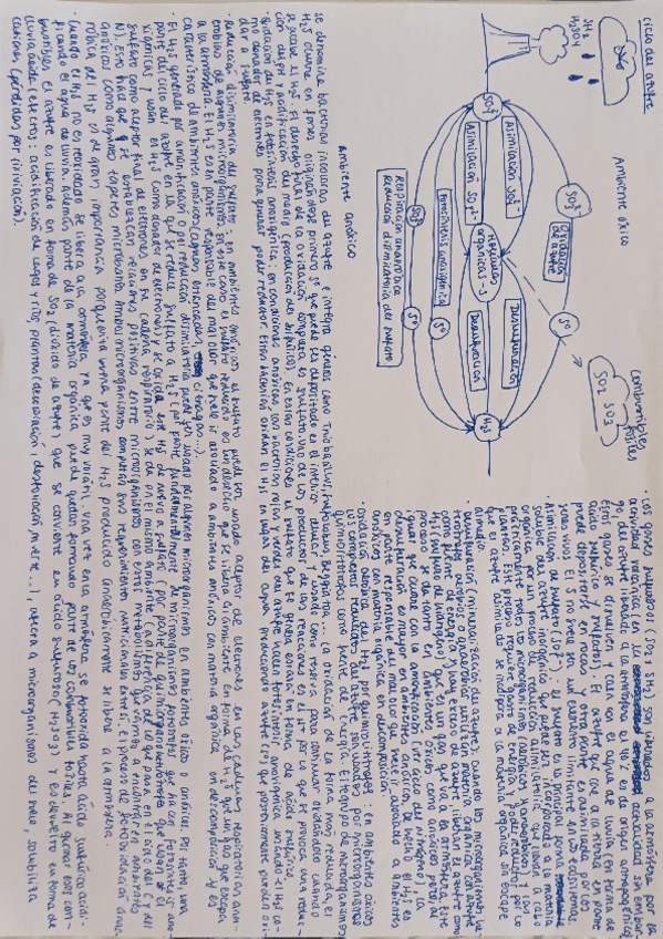 Miniatura del documento Ciclo-del-azufre.pdf
