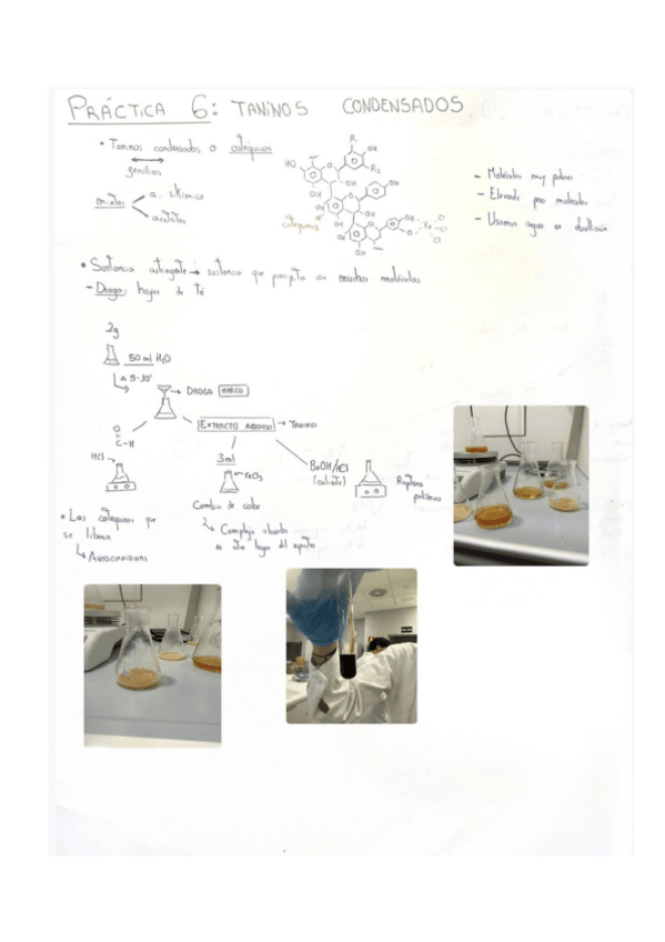 Miniatura del documento PRACTICA-610.pdf