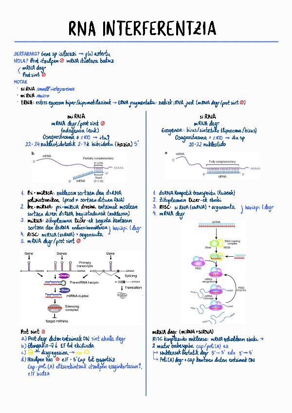 Miniatura del documento 9.-GaiaRNA-interferentzia.pdf