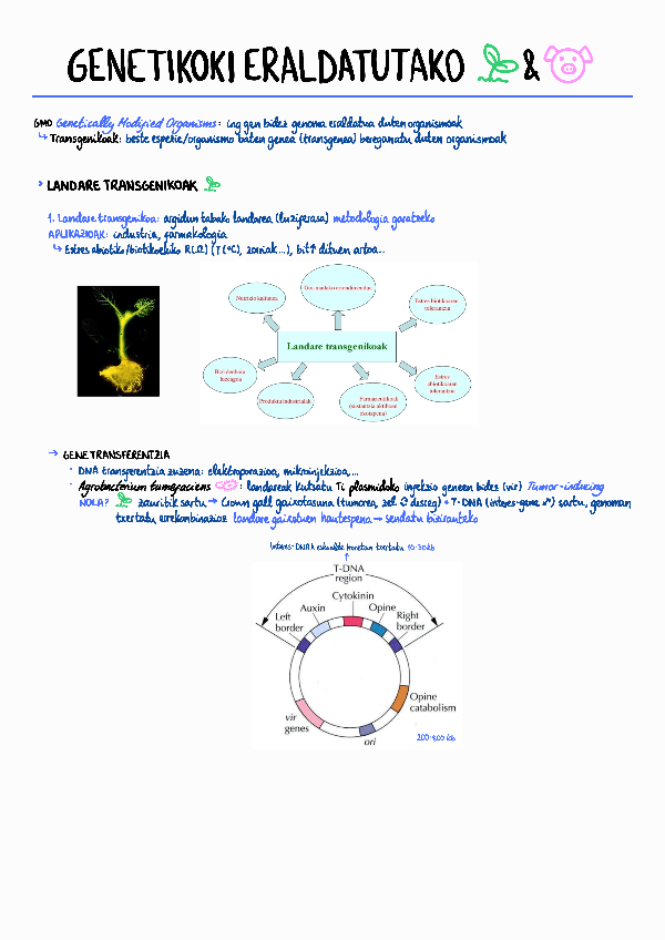 Miniatura del documento 12.-GaiaGen-eraldatutako-landare-and-animaliak.pdf