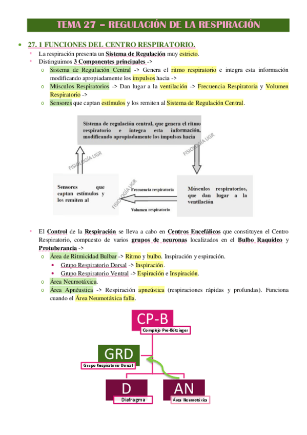 Miniatura del documento APUNTES-TEMA-27-FISIOLOGIA-OCHOA.pdf