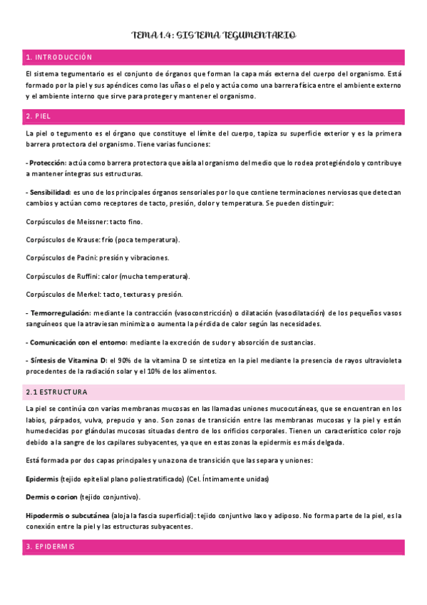 Miniatura del documento TEMA-1.4-SISTEMA-TEGUMENTARIO.pdf