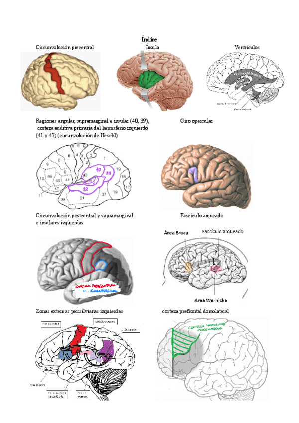 Miniatura del documento Indice-de-fotos-2o-parcial.pdf