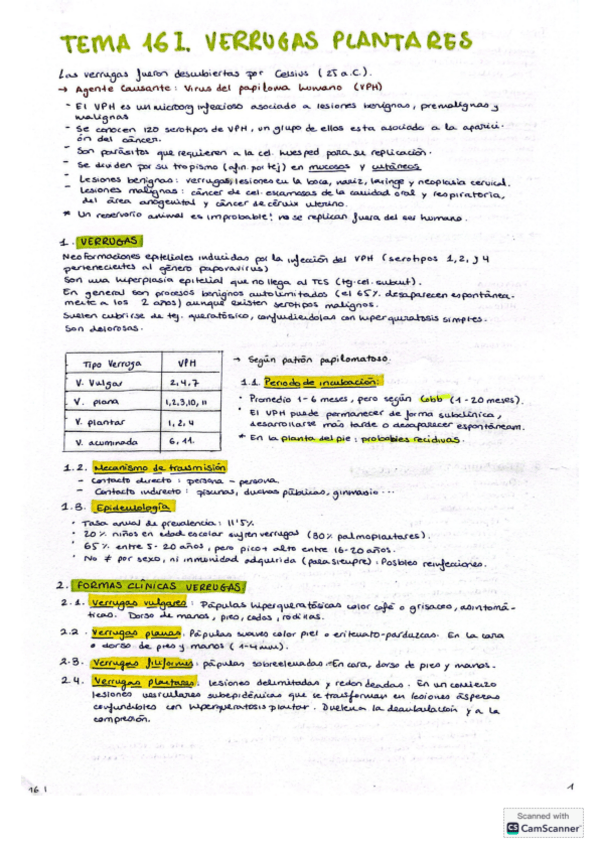 Miniatura del documento TEMA-16-I.-Quiro-II.pdf