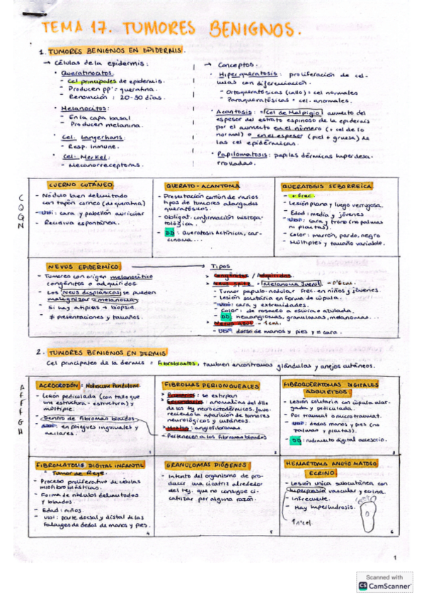 Miniatura del documento TEMA-17.-Quiro-II.pdf