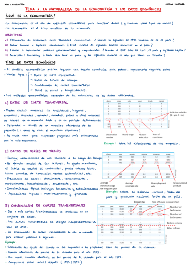Miniatura del documento TEMA-1.-LA-NATURALEZA-DE-LA-ECONOMETRIA-Y-LOS-DATOS-ECONOMICOS.pdf